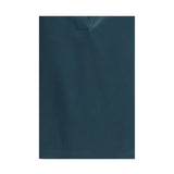 Deep V-neck silk Shirt