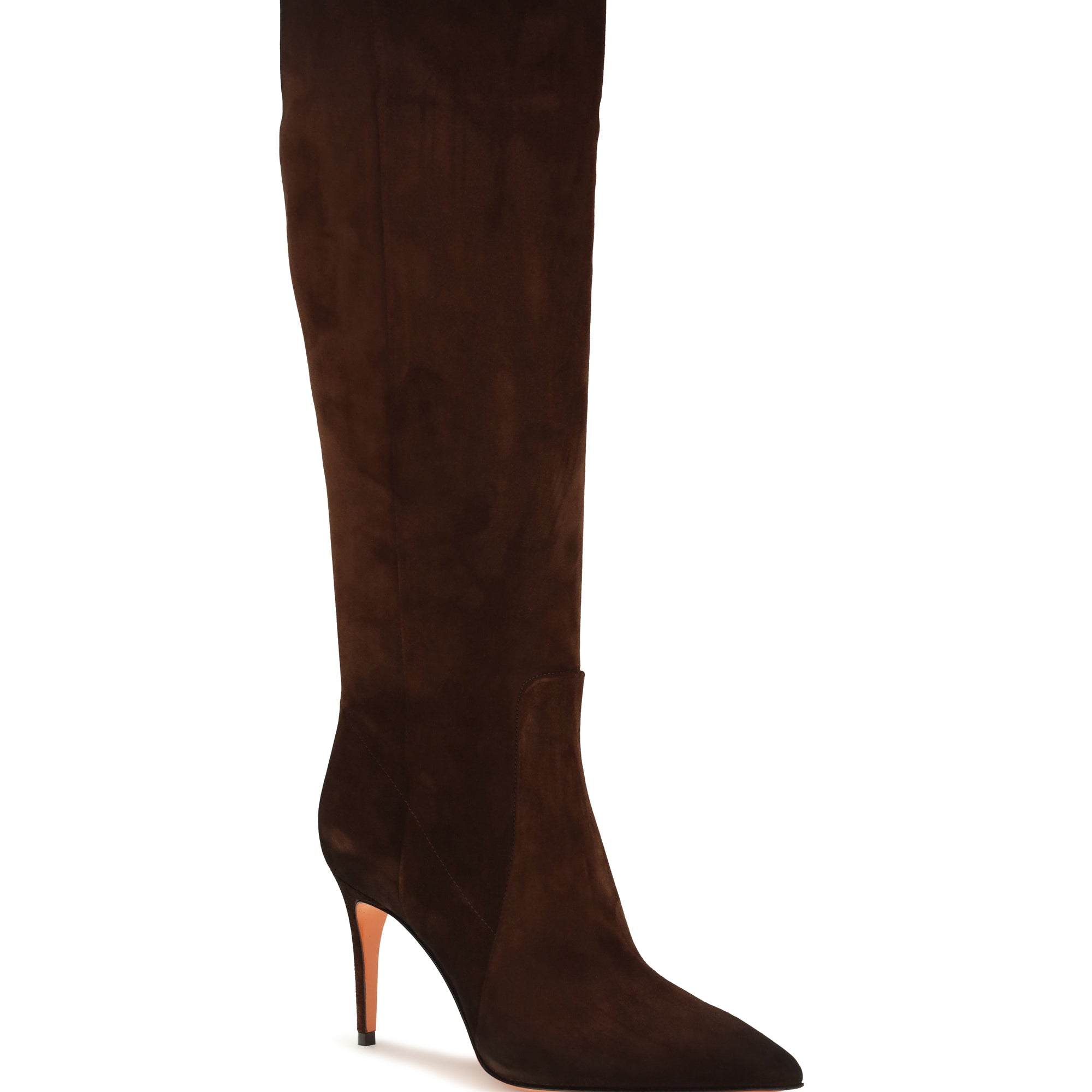 Pointed high Boots