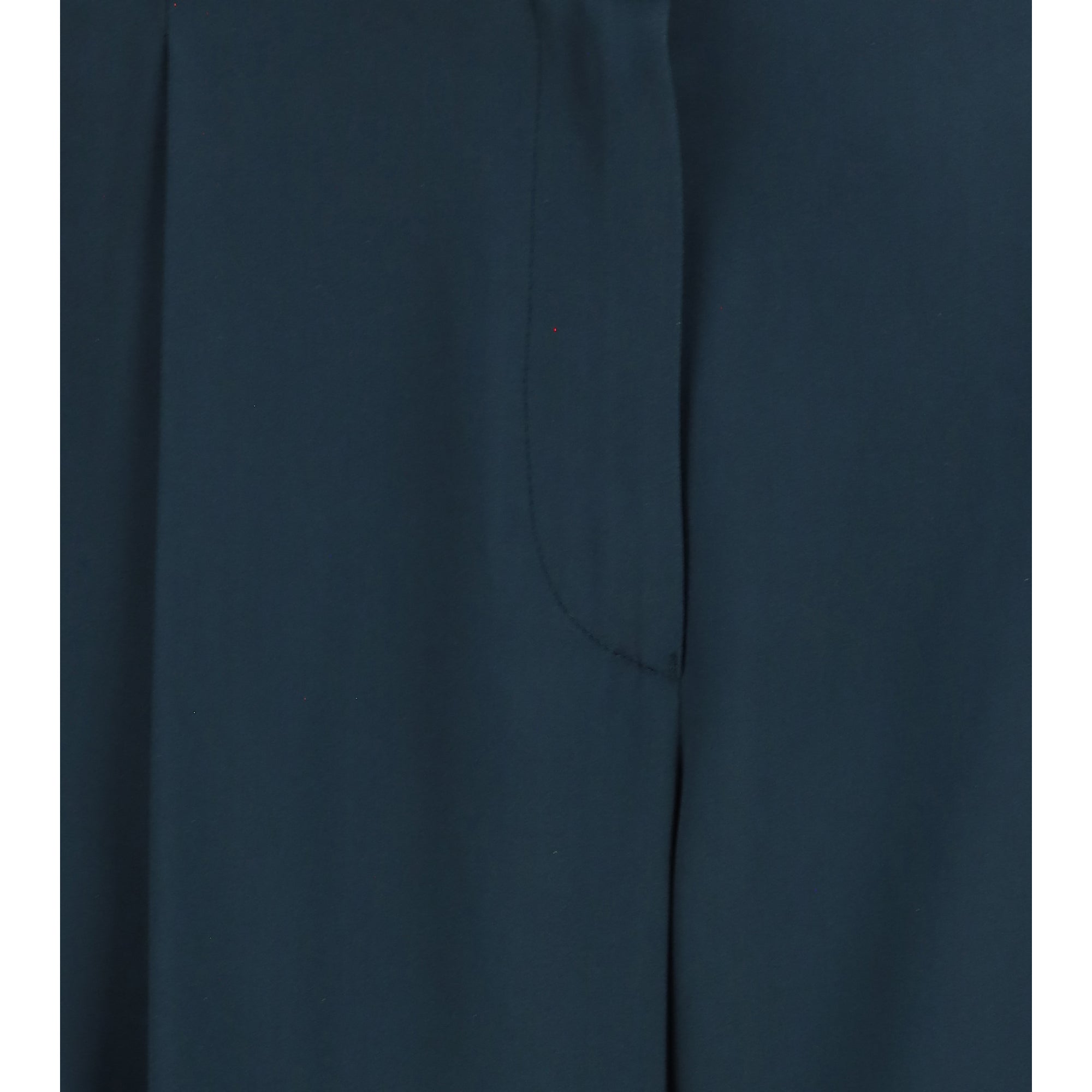 Pleated silk Pants