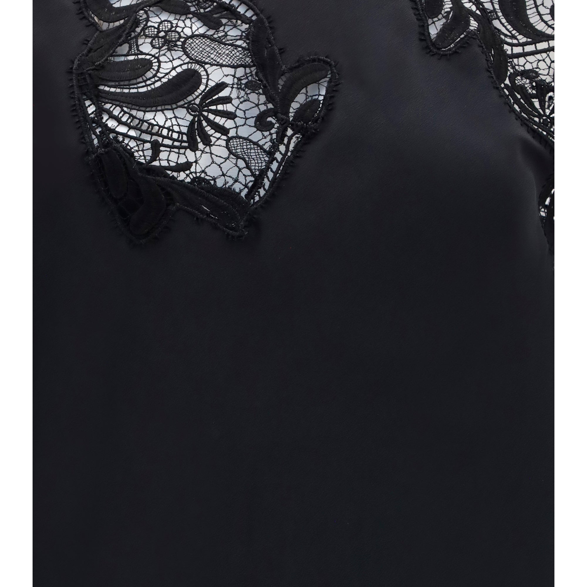 Silk Dress with lace