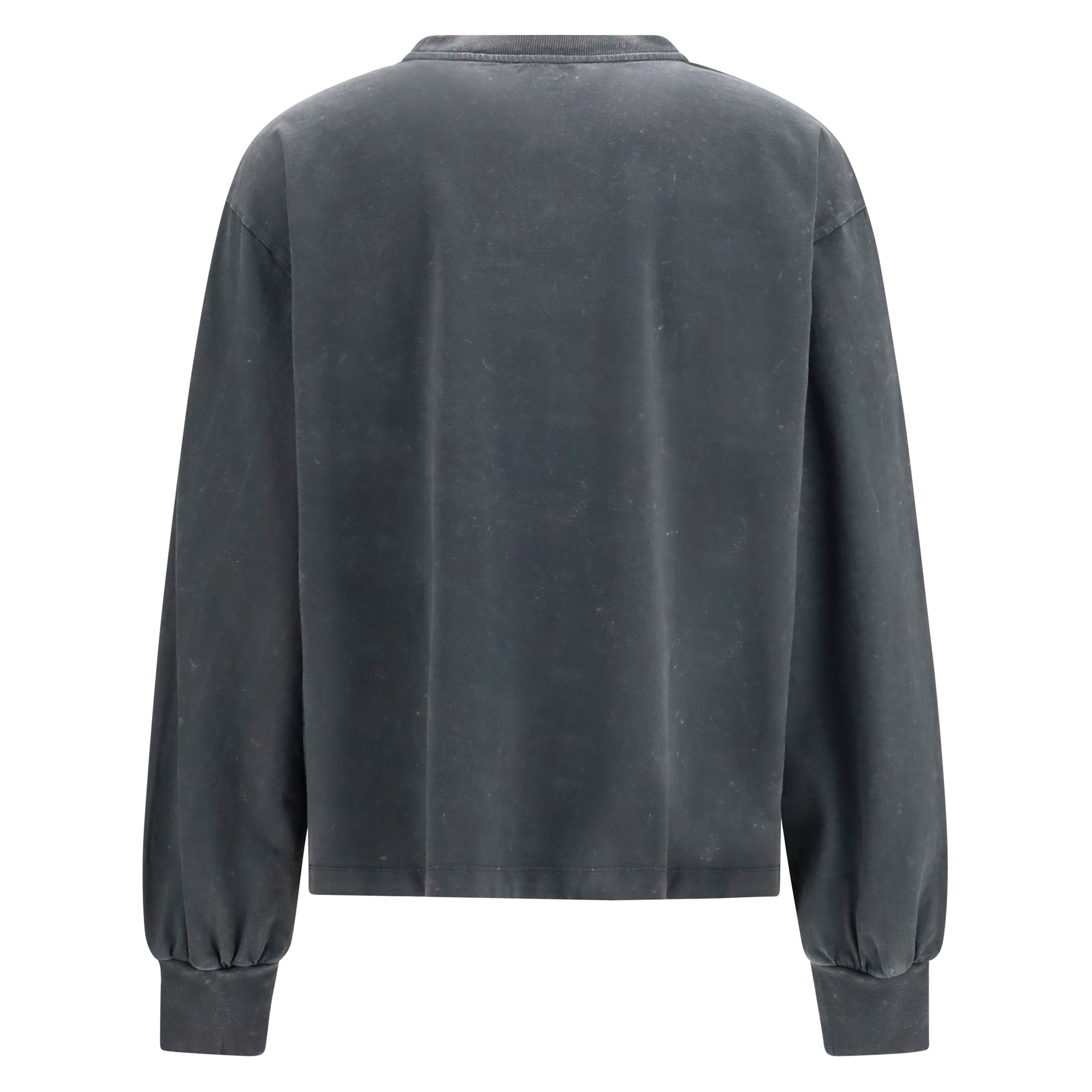 Long-sleeve tiger-print T-shirt