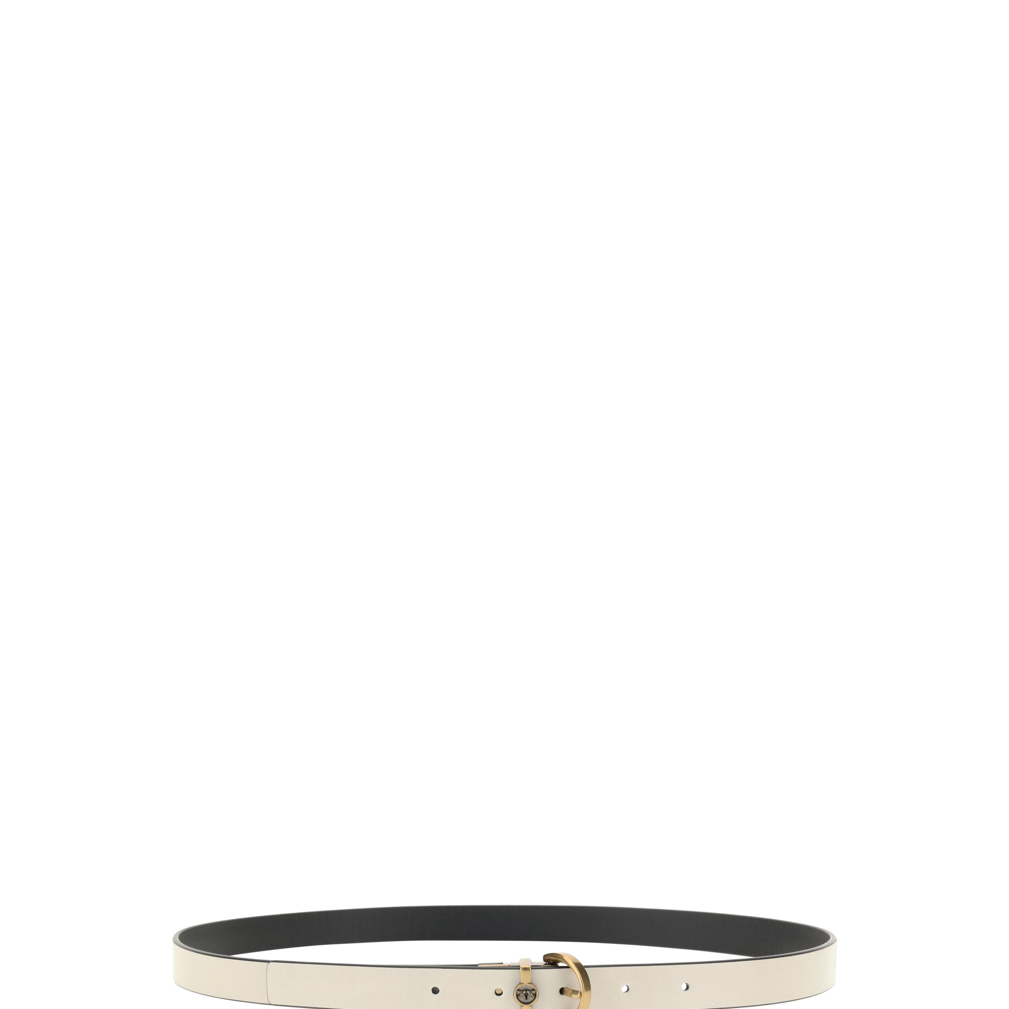 Reversible Belt