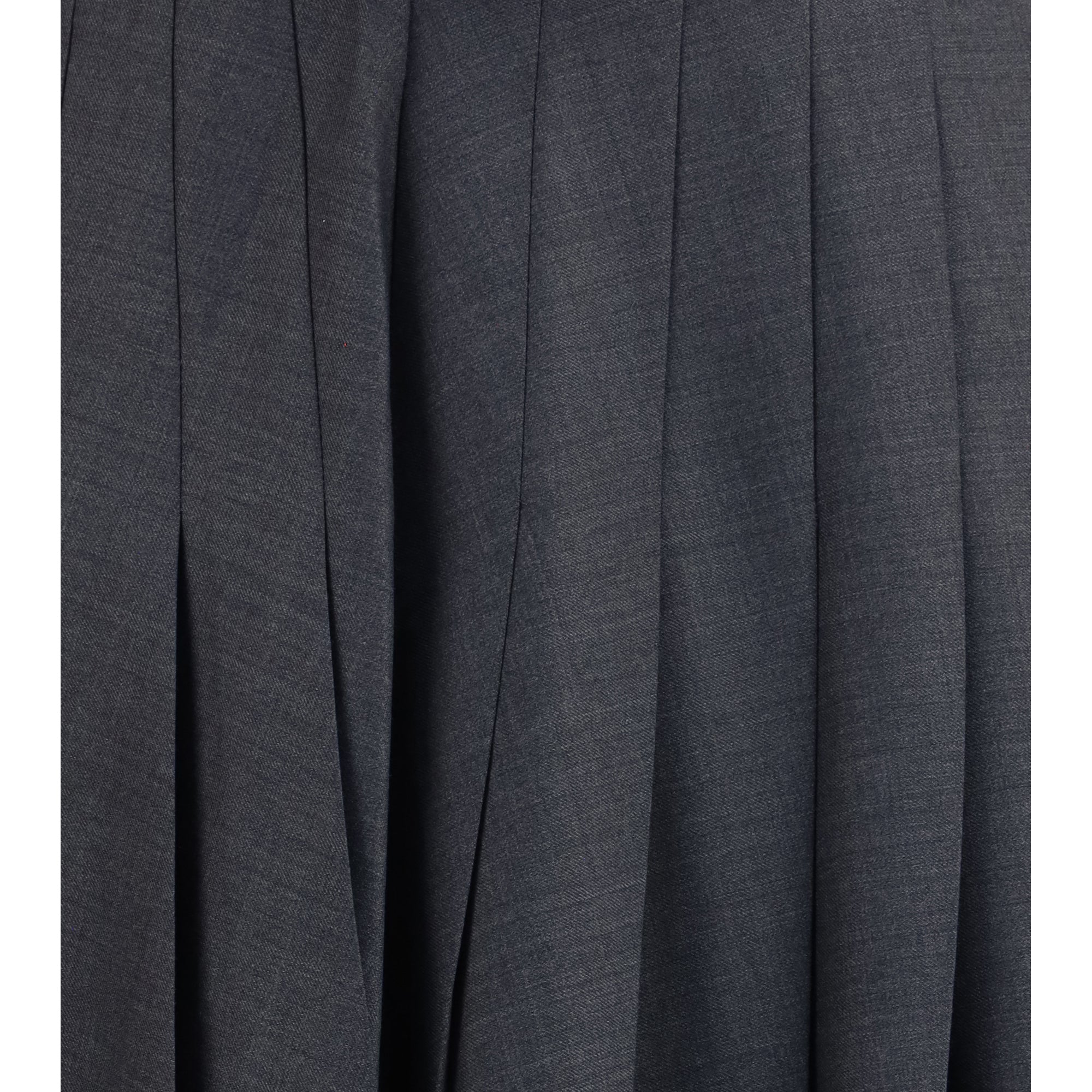 Pleated maxi Skirt