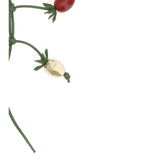 Tomato Branch Keychain