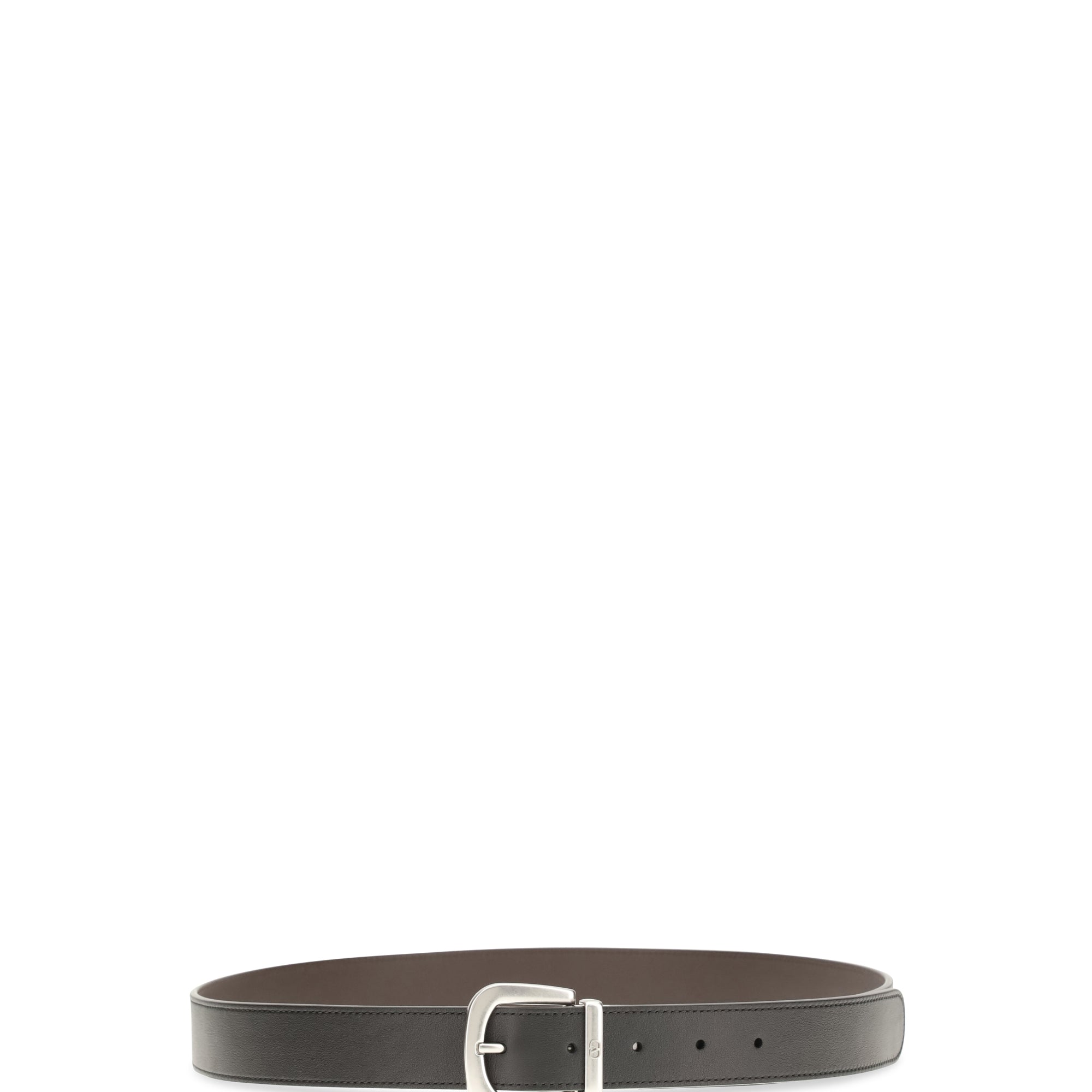 Reversible Belt