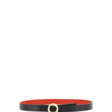 Reversible Belt