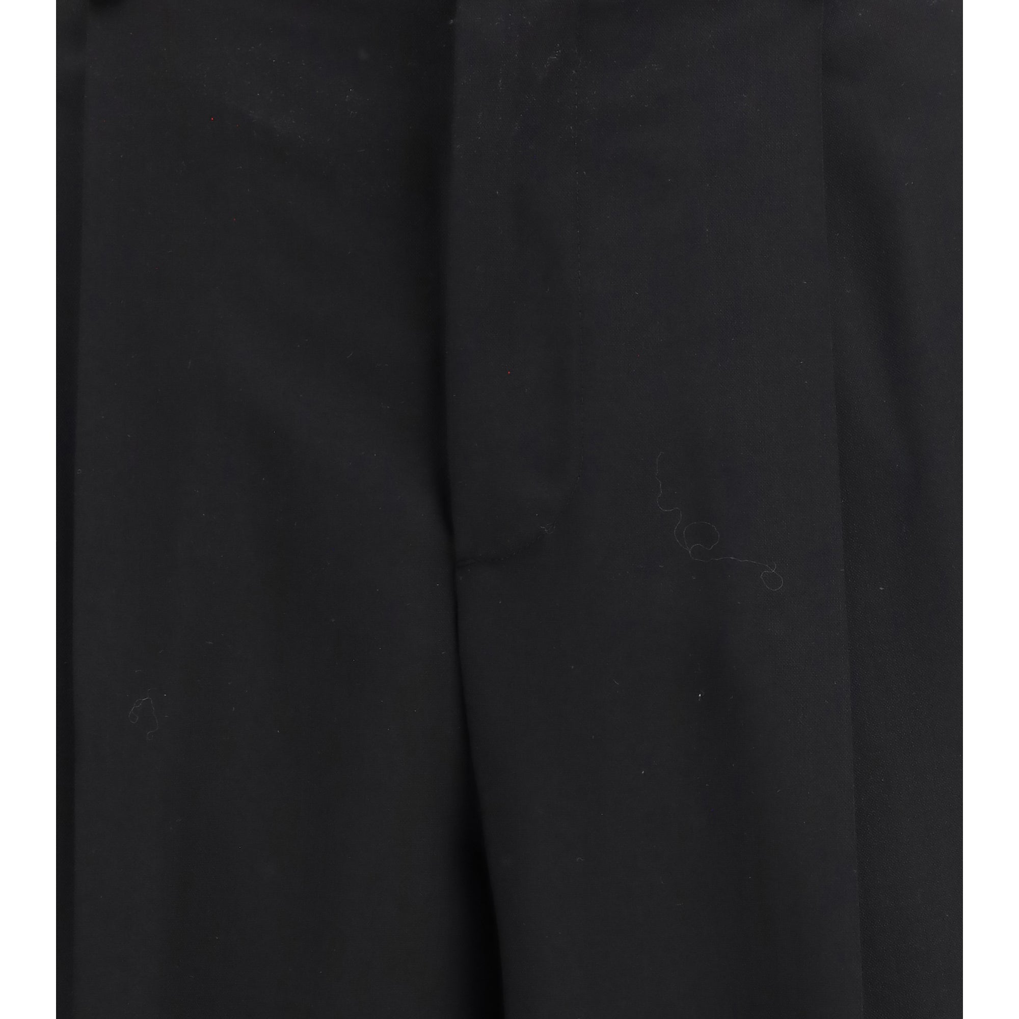 Pleated Pants with an elasticated waistband