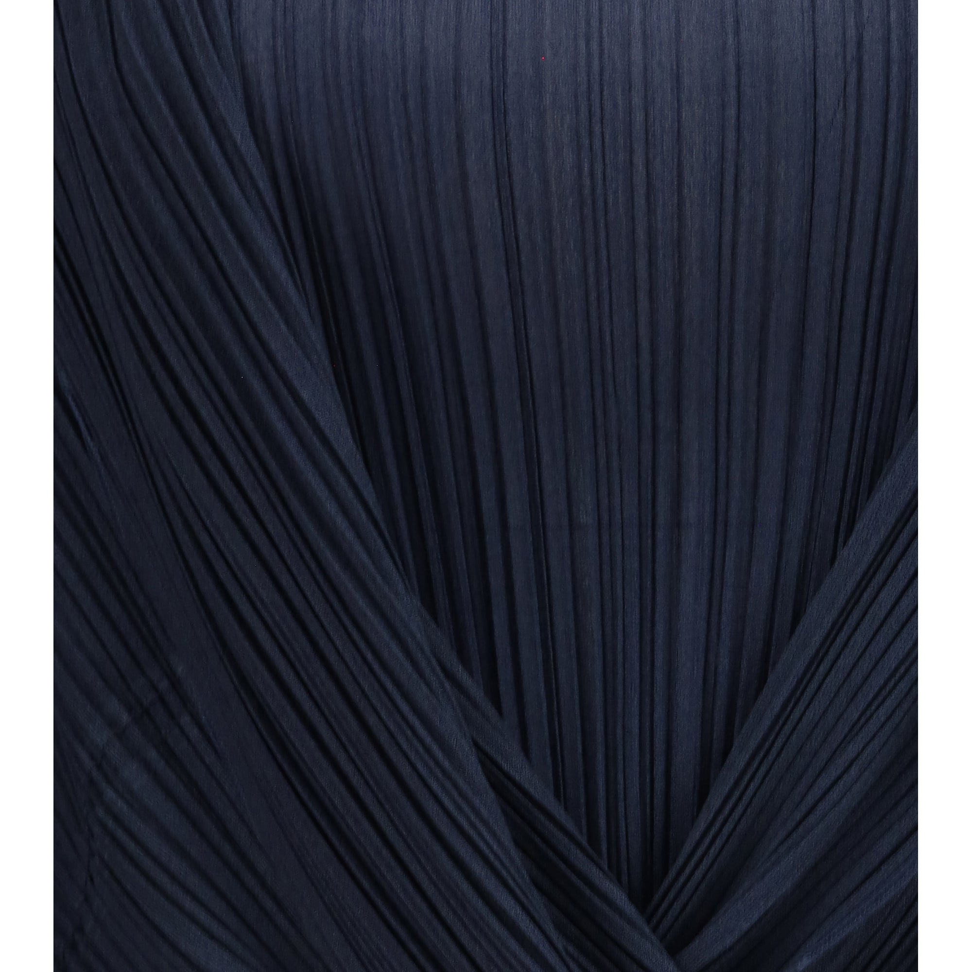 Semi-sheer pleated Blouse