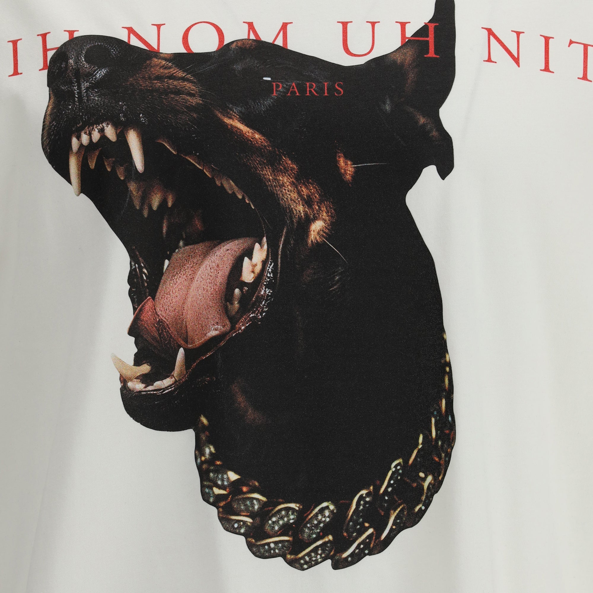 Dobermann T-Shirt