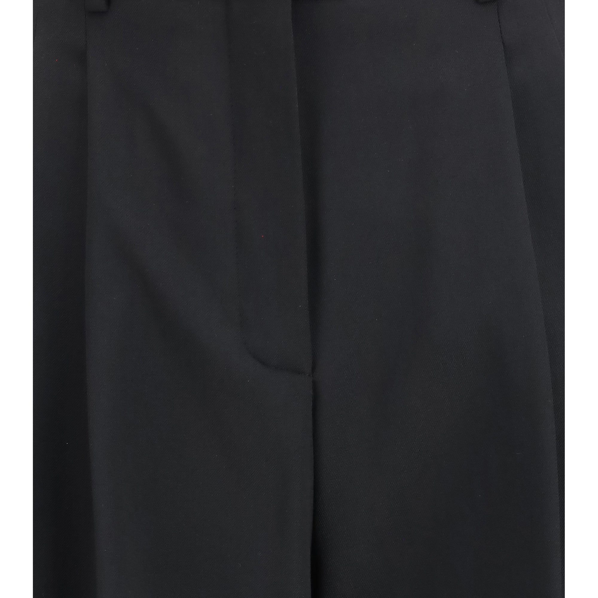 Wide-leg pleated Pants