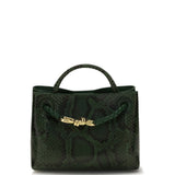 Andiamo python Handbag